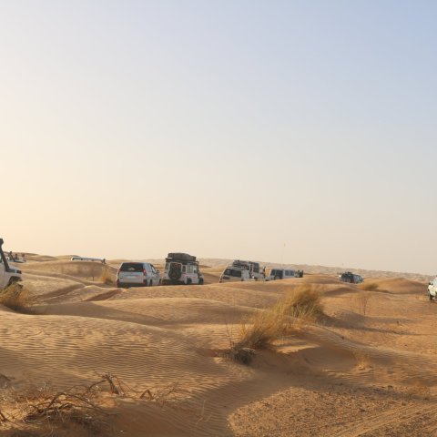 Photo d'un groupe de 4x4 de dos pris lors d'un Raid en Tunisie