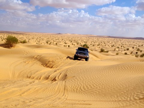 Photo d'un 4x4 de dos dans le désert