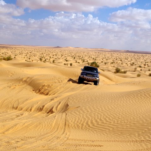 Photo d'un 4x4 de dos dans le désert