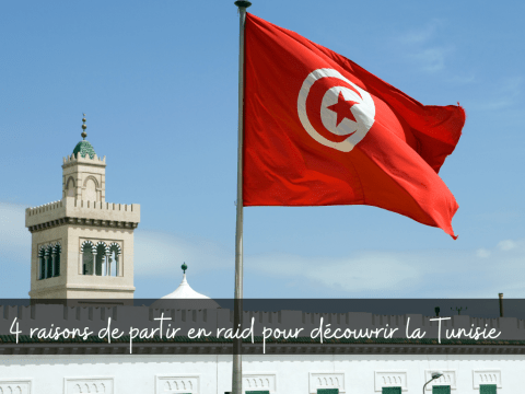 Photo d'un drapeau Tunisien