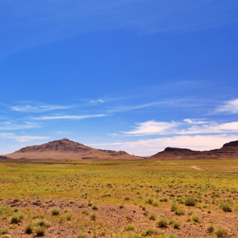 Paysage du Maroc avec très peu de végétation