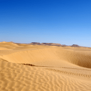 Photo des dunes lors du raid en Tunisie