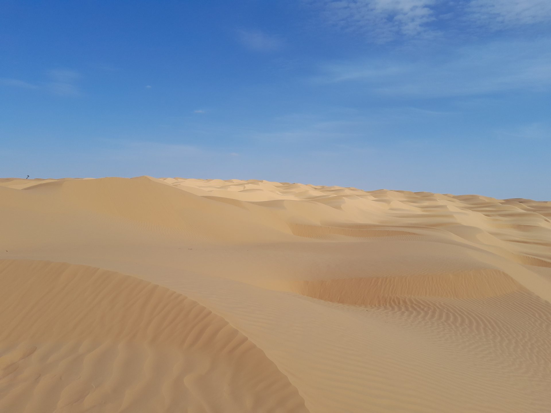 Photo du désert prise lors d'un raid 4x4