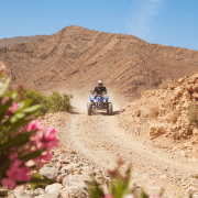 Photo des fleurs roses avec un flou d'arrière plan d'un quad au Maroc