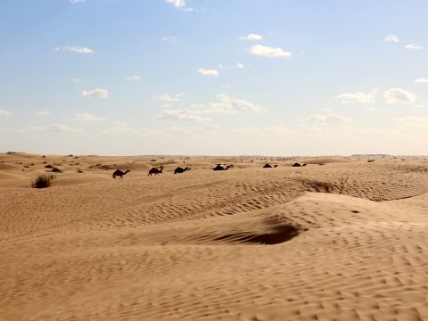 Désert tunisien pris en photo lors d'un raid 4x4