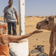 Femme qui place sa main en bas de la bouche d'un chameau
