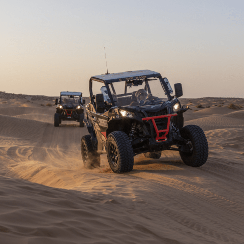 Buggy qui traverse les dunes tunisien