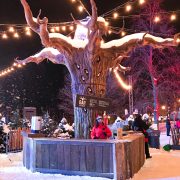 Photo d'un arbre décoré durant le raid motoneige Canada 2018