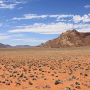 Paysage de l'Afrique Australe