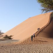 Des personnes qui montent une colline de sable en Afrique Australe
