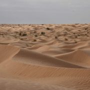 Dunes Tunisie