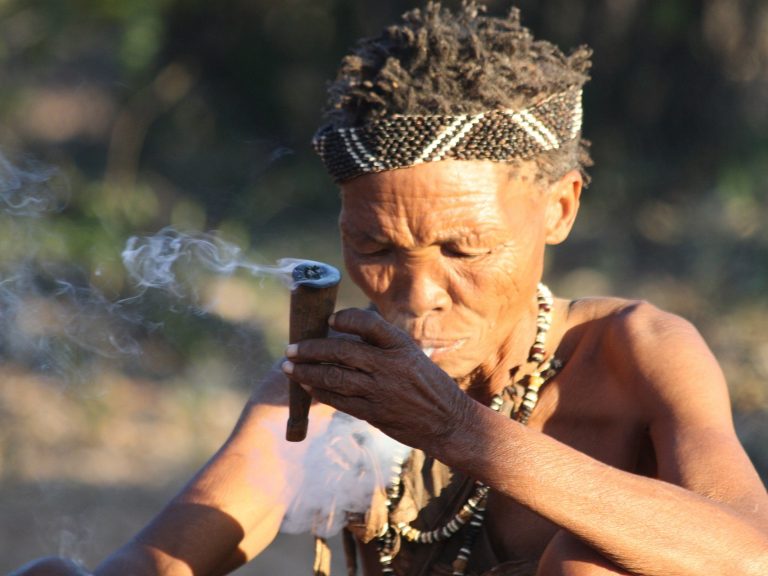 Culture Afrique Australe