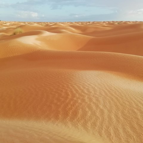 Photo des dunes prise lors d'un raid en Tunisie