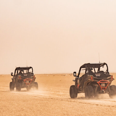 2 SSV de dos dans les dunes