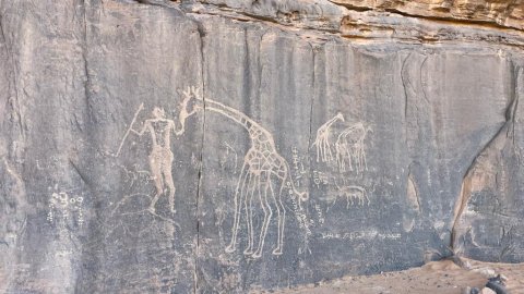 Photo d'un rocher avec des vielles gravures et dessins en Algérie
