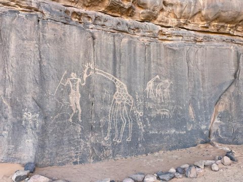 Photo d'un rocher avec des vielles gravures et dessins en Algérie